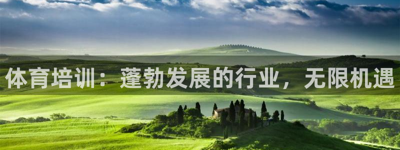 焦点娱乐app下载官网：体育培训：蓬勃发展的行业，无
