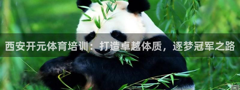焦点娱乐平台注册账号怎么注销啊：西安开元体育培训：打