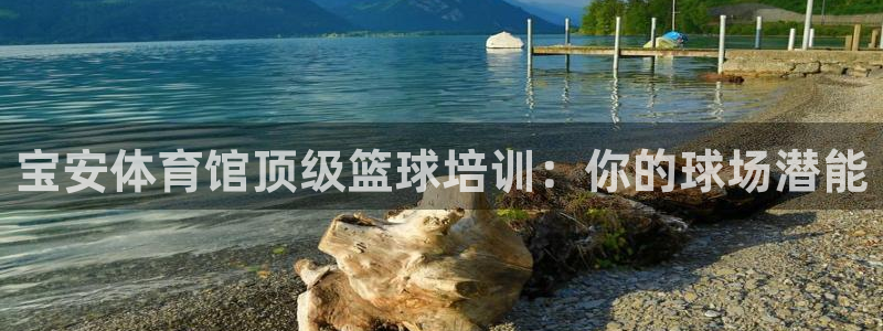 焦点娱乐游戏攻略大全：宝安体育馆顶级篮球培训：你的球