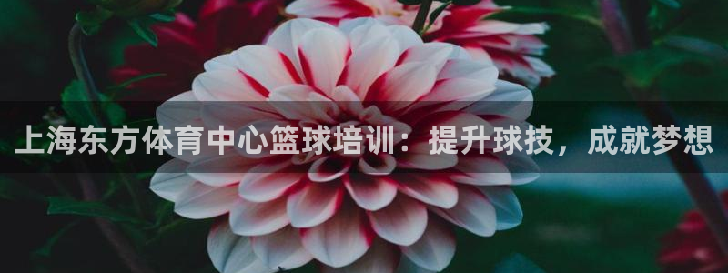 焦点娱乐待遇：上海东方体育中心篮球培训：提升球技，成