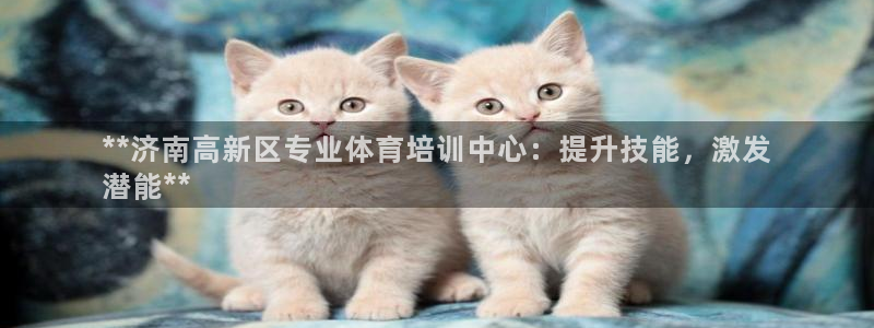 焦点娱乐平台注册账号是什么样的：**济南高新区专业体