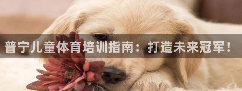 焦点娱乐如何注册账号和密码：普宁儿童体育培训指南：打