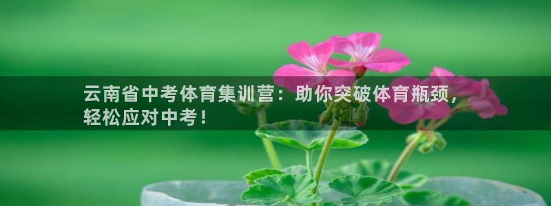 焦点娱乐是哪个公司的软件
