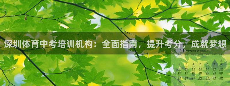 焦点娱乐官网下载安装：深圳体育中考培训机构：全面指南