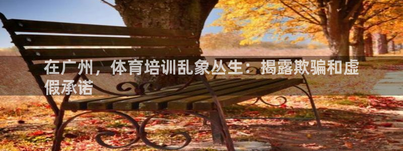 焦点娱乐传媒有限公司招聘要求：在广州，体育培训乱象丛