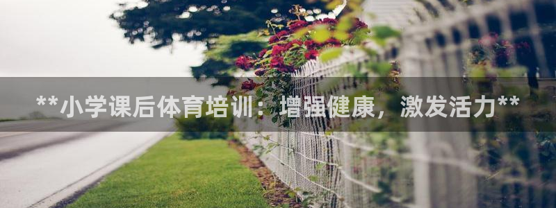焦点平台娱乐：**小学课后体育培训：增强健康，激发活