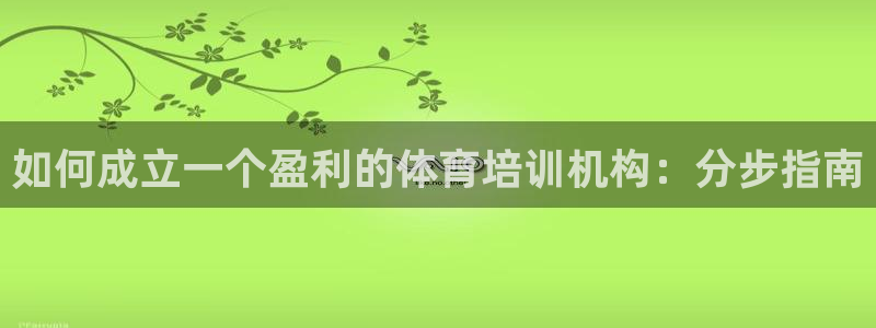 焦点娱乐平台主管：如何成立一个盈利的体育培训机构：分