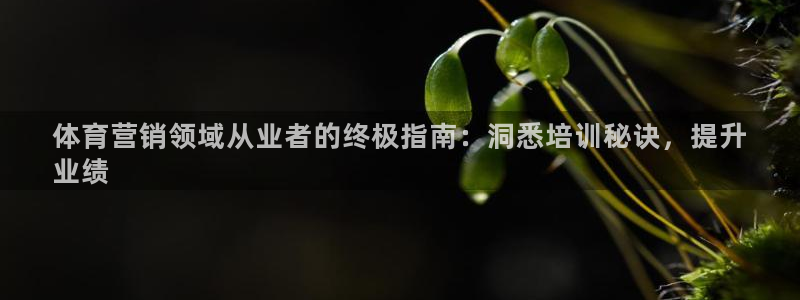 焦点娱乐官方网站首页下载：体育营销领域从业者的终极指