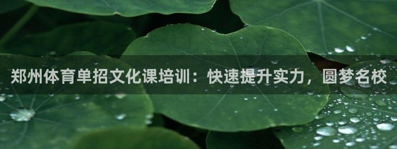 焦点娱乐传媒有限公司招聘电话：郑州体育单招文化课培训