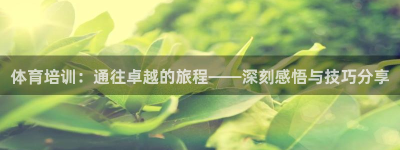焦点娱乐平台章7O777：体育培训：通往卓越的旅程—