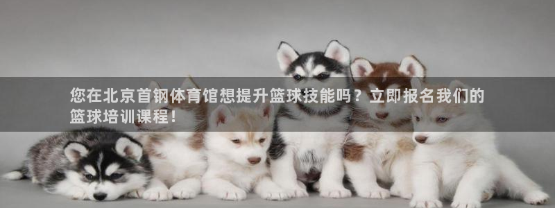 焦点娱乐平台主管：您在北京首钢体育馆想提升篮球技能吗