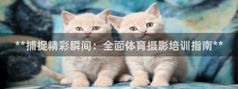 焦点娱乐怎么找不到了：**捕捉精彩瞬间：全面体育摄影
