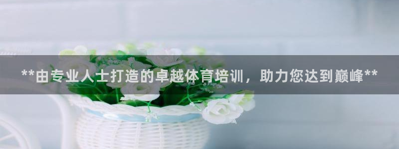 焦点娱乐公司的发展历程是什么：**由专业人士打造的卓