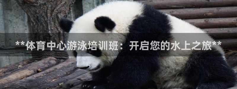 焦点娱乐官方网站下载手机版：**体育中心游泳培训班：