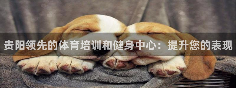 焦点娱乐全国总冠军有哪些：贵阳领先的体育培训和健身中