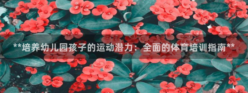 焦点娱乐无法提现