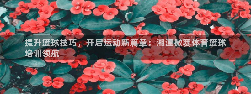 焦点娱乐app下载官网苹果版：提升篮球技巧，开启运动