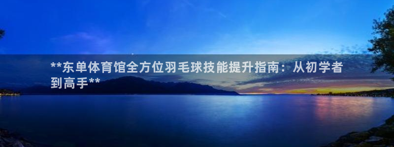 焦点娱乐是拉菲公司的吗：**东单体育馆全方位羽毛球技