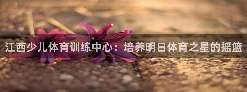 焦点娱乐平台客服电话号码是多少：江西少儿体育训练中心