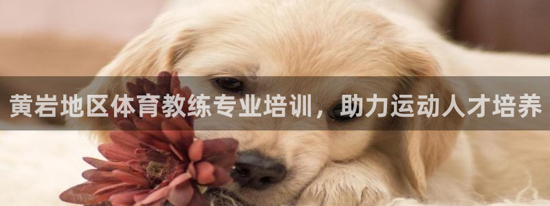 焦点娱乐传媒有限公司怎么样知乎招聘：黄岩地区体育教练