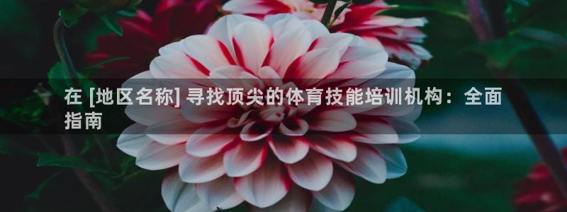 焦点娱乐App下载：在 [地区名称] 寻找顶尖的体育