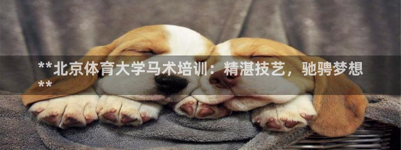焦点娱乐平台账号在哪注册的：**北京体育大学马术培训