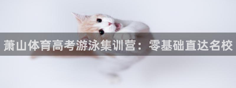 焦点娱乐佳 411O31 焦点：萧山体育高考游泳集训