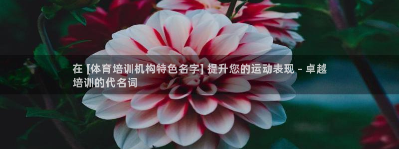 焦点娱乐官网首页入口下载：在 [体育培训机构特色名字