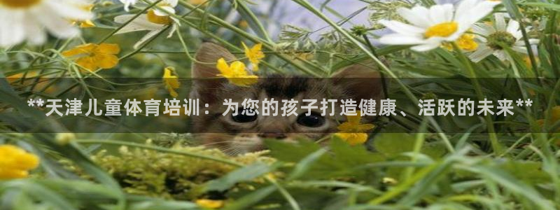 焦点娱乐总代理：**天津儿童体育培训：为您的孩子打造