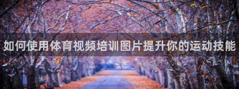 焦点娱乐官方网站下载安装手机版：如何使用体育视频培训