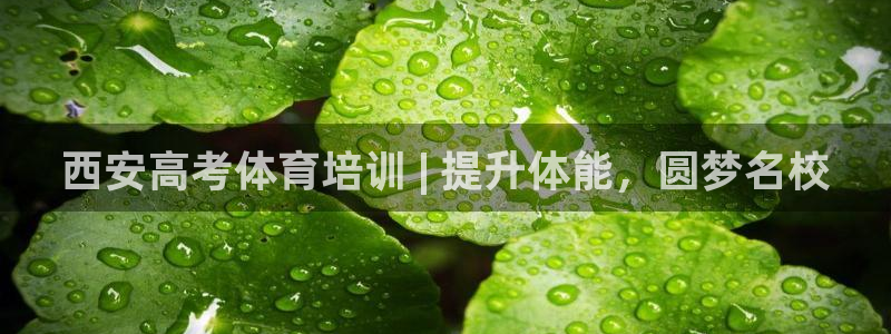 焦点娱乐如何注册账号的：西安高考体育培训 | 提升体