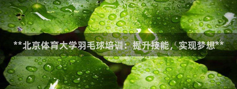 焦点娱乐平台注册账号安全吗知乎：**北京体育大学羽毛