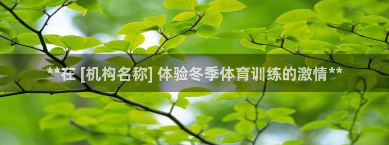 焦点娱乐说说文案：**在 [机构名称] 体验冬季体育