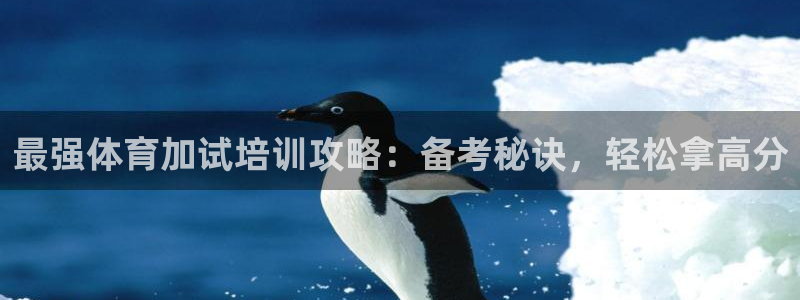 焦点娱乐有限公司：最强体育加试培训攻略：备考秘诀，轻