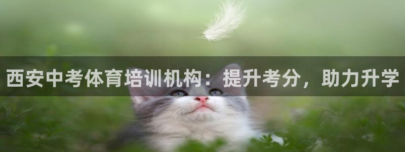 焦点娱乐门徒娱乐骗局曝光：西安中考体育培训机构：提升