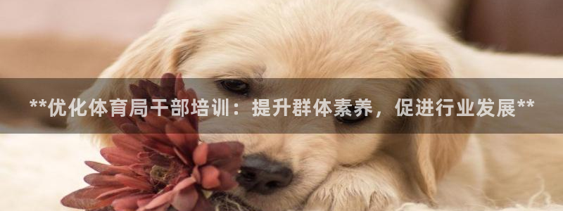 焦点娱乐无法提现到微信：**优化体育局干部培训：提升