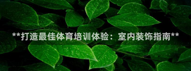 焦点娱乐平台注册账号安全吗是真的吗：**打造最佳体育