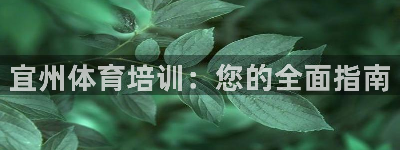 焦点娱乐软件版本：宜州体育培训：您的全面指南