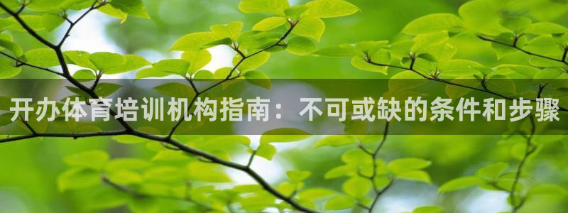 焦点娱乐官网下载安装最新版手机：开办体育培训机构指南