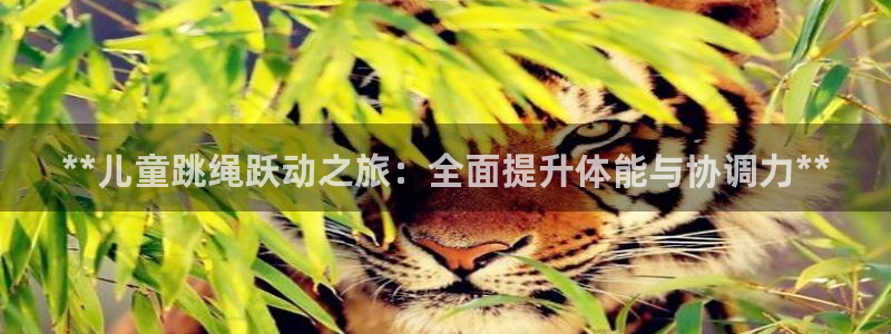 焦点娱乐星的视频