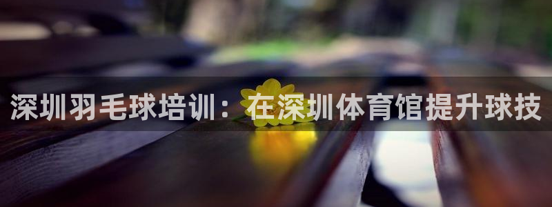 焦点娱乐股东：深圳羽毛球培训：在深圳体育馆提升球技
