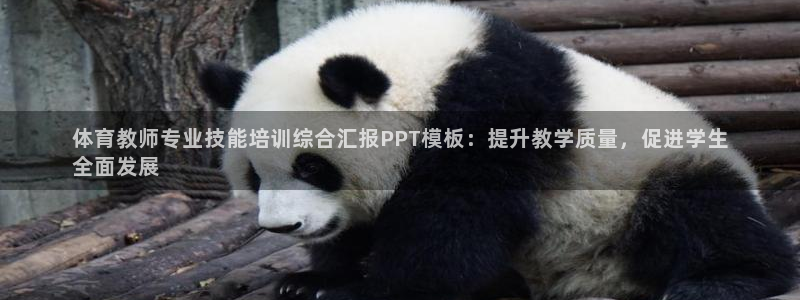 焦点娱乐负责人