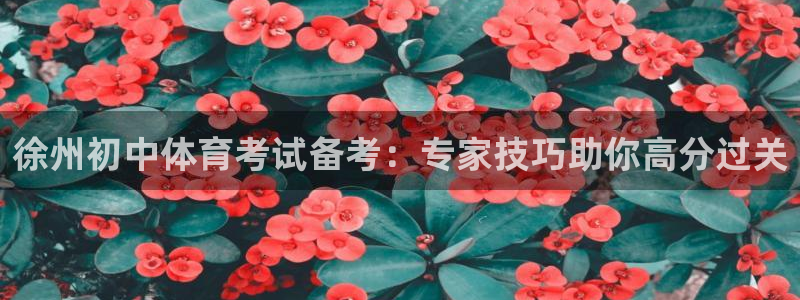 焦点娱乐：徐州初中体育考试备考：专家技巧助你高分过关
