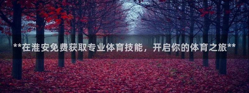 焦点娱乐加速器下载：**在淮安免费获取专业体育技能，