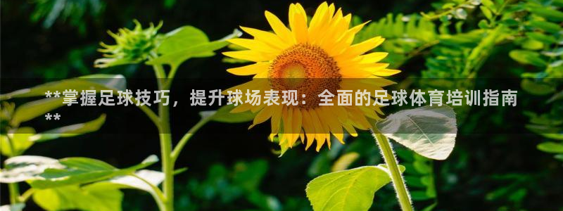 焦点娱乐平台客服电话人工服务：**掌握足球技巧，提升