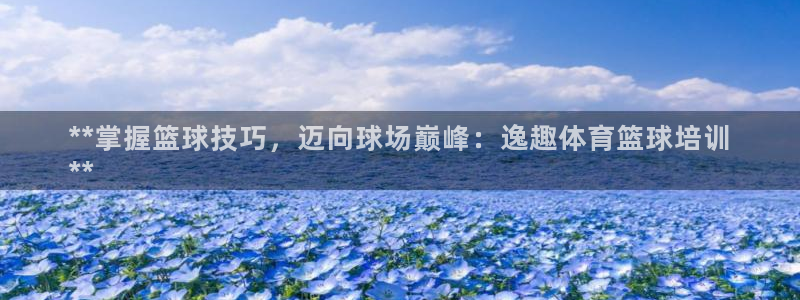 焦点娱乐平台总代理开户
