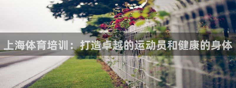 焦点娱乐app下载官网最新版：上海体育培训：打造卓越