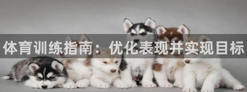 焦点娱乐平台总代理开户怎么样啊：体育训练指南：优化表