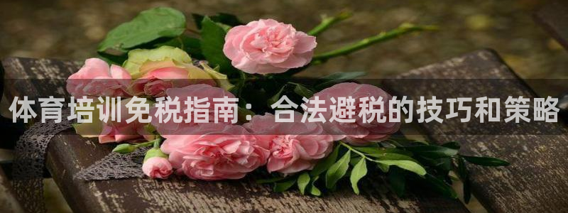 焦点娱乐平台留7O777：体育培训免税指南：合法避税