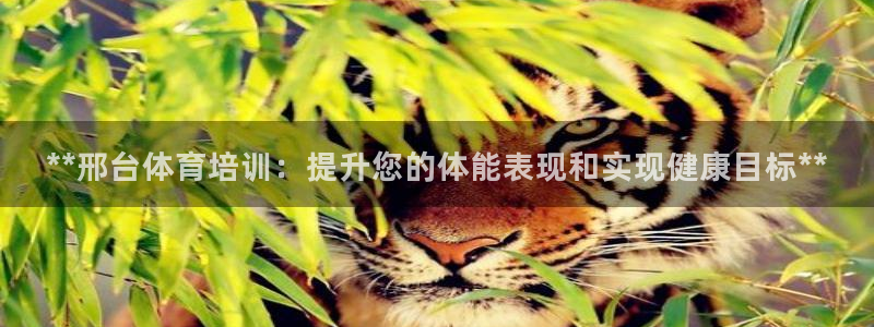 焦点娱乐平台怎么样可靠吗：**邢台体育培训：提升您的